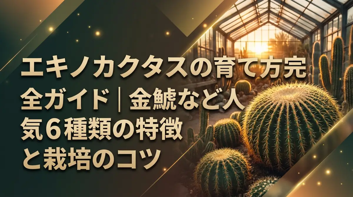 エキノカクタスの育て方完全ガイド｜金鯱など人気6種類の特徴と栽培のコツ