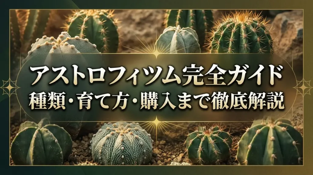 アストロフィツム完全ガイド｜種類・育て方・購入まで徹底解説