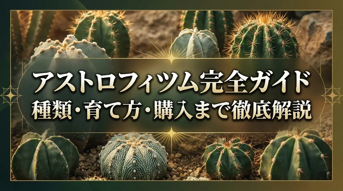 アストロフィツム完全ガイド｜種類・育て方・購入まで徹底解説