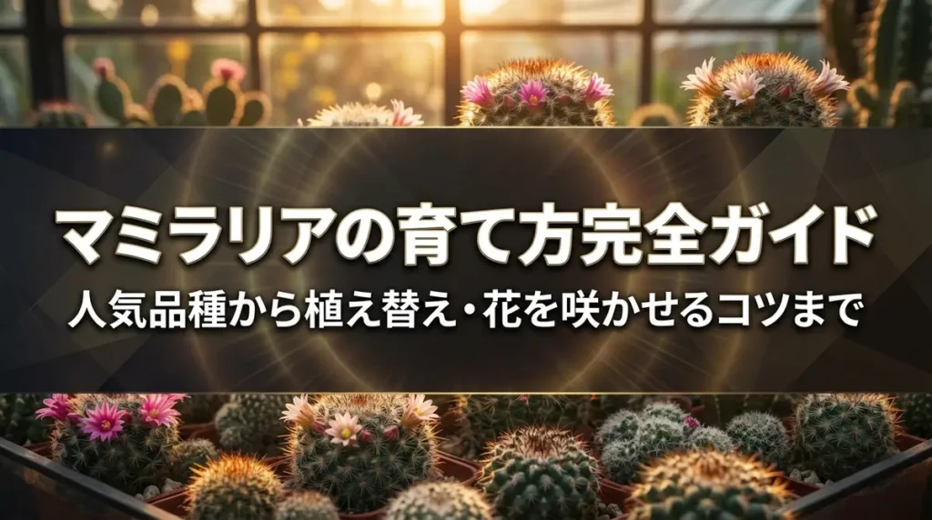 マミラリアの育て方完全ガイド｜人気品種から植え替え・花を咲かせるコツまで