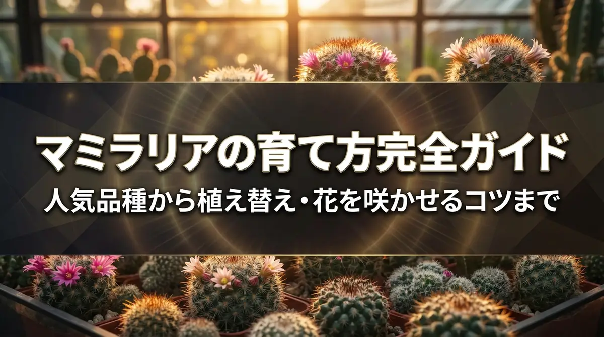 マミラリアの育て方完全ガイド|人気品種から植え替え・花を咲かせるコツまで