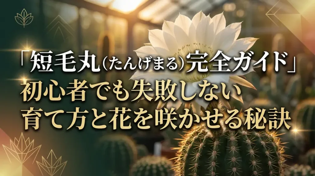 短毛丸（たんげまる）完全ガイド｜初心者でも失敗しない育て方と花を咲かせる秘訣