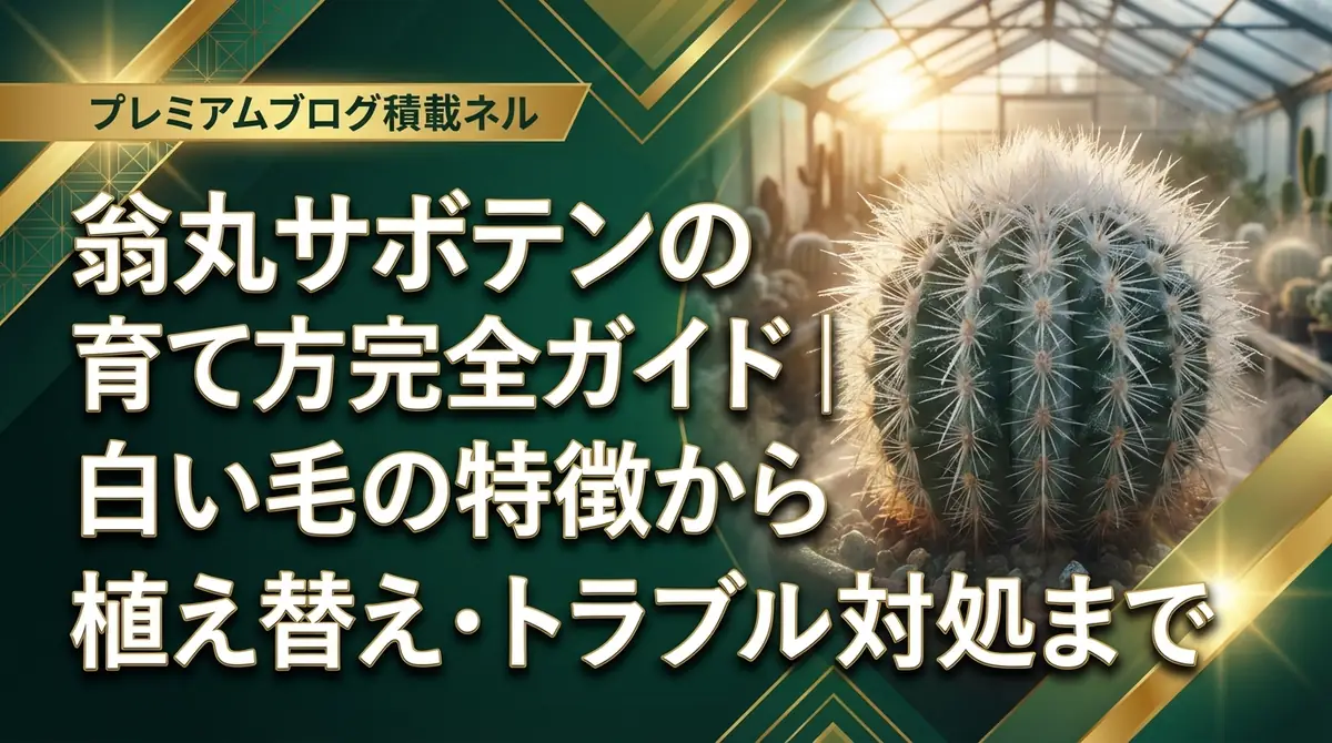 翁丸サボテンの育て方完全ガイド｜白い毛の特徴から植え替え・トラブル対処まで