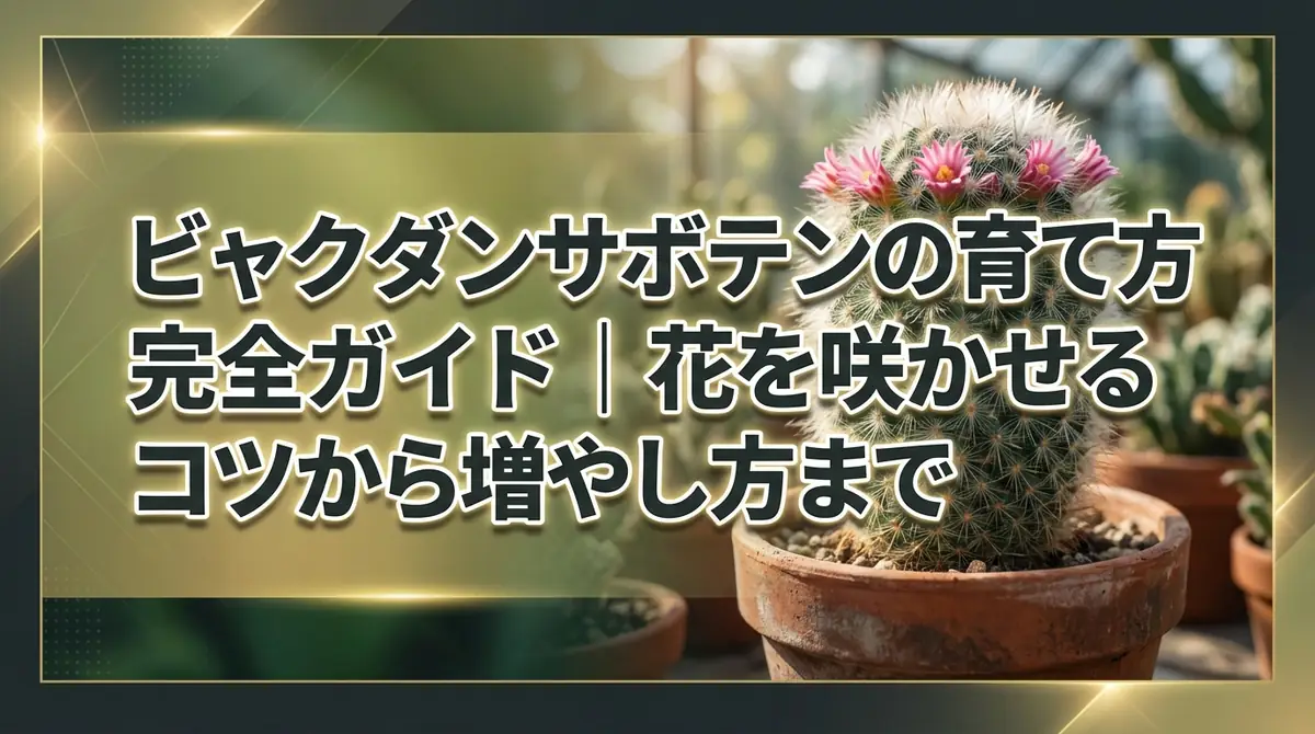 ビャクダンサボテンの育て方完全ガイド｜花を咲かせるコツから増やし方まで