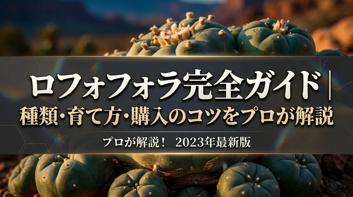ロフォフォラ完全ガイド｜種類・育て方・購入のコツをプロが解説