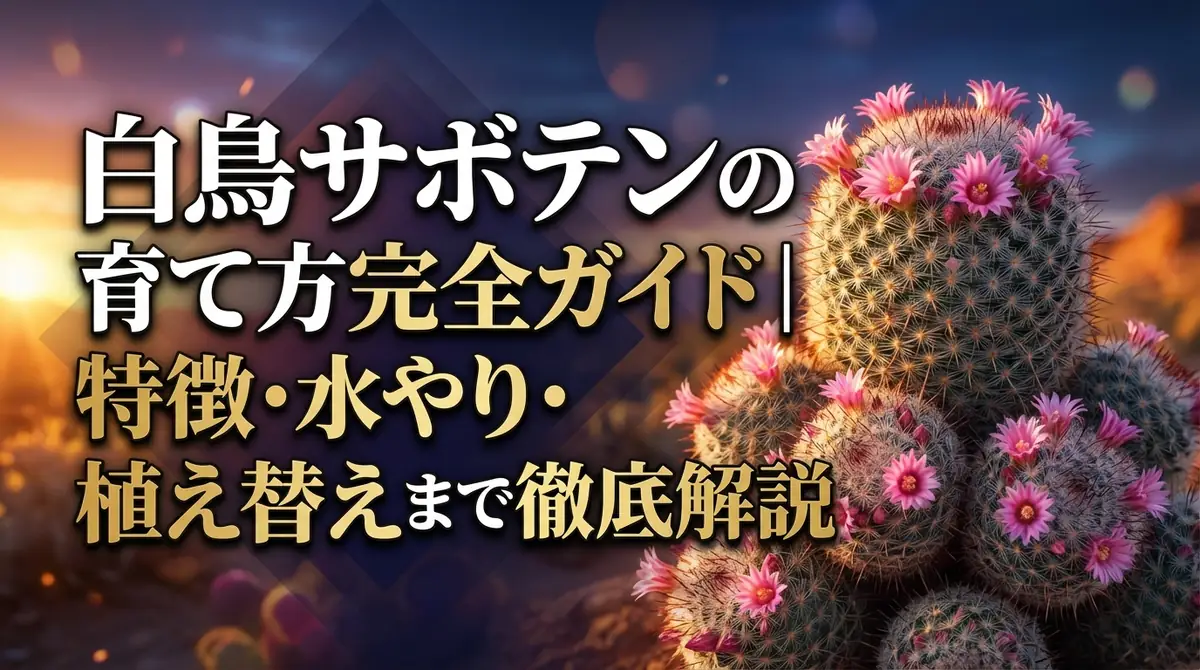 白鳥サボテンの育て方完全ガイド｜特徴・水やり・植え替えまで徹底解説