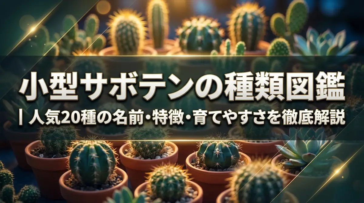 小型サボテンの種類図鑑｜人気20種の名前・特徴・育てやすさを徹底解説